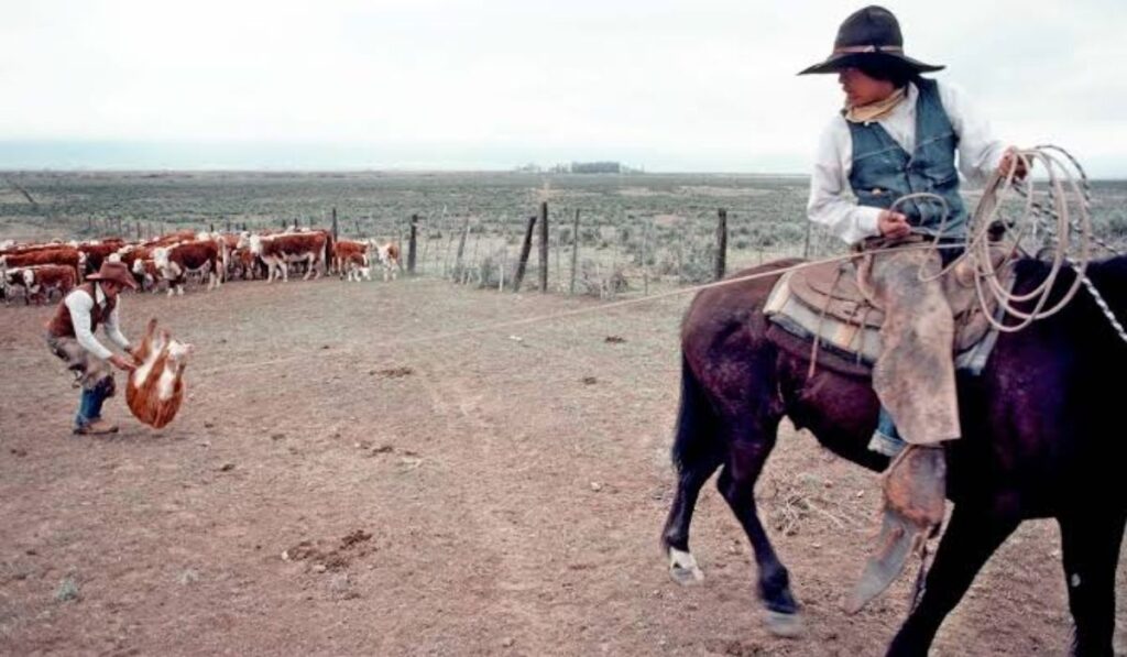 baby-boy-cowboy-themed-names