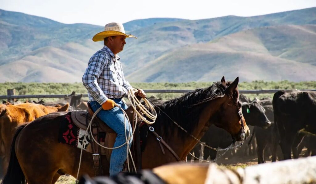 best-cowboy-names