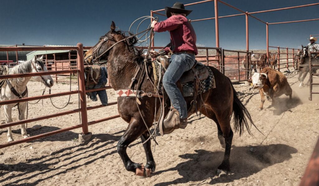 good-cowboy-names