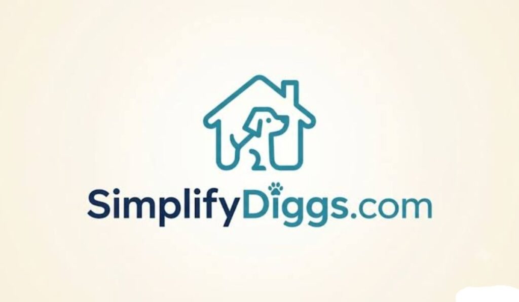how-simplifydiggscom-helps-readers-navigate-the-digital-world