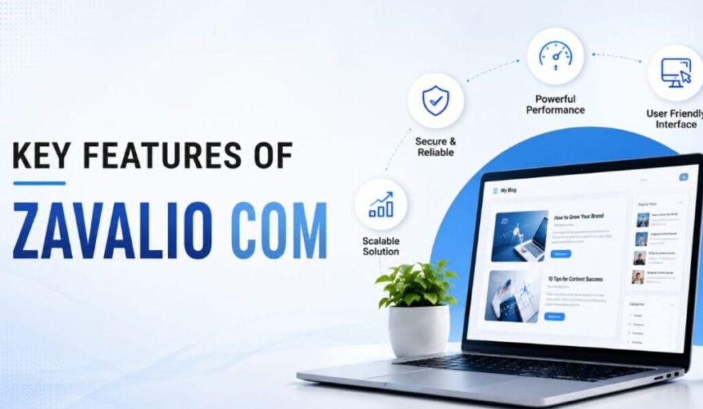why-is-zavalio-com-getting-attention-in-2026
