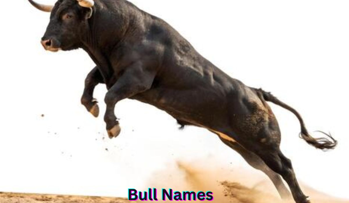 bull-names