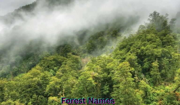 forest-names