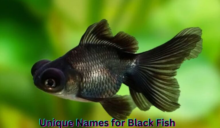 unique-names-for-black-fish