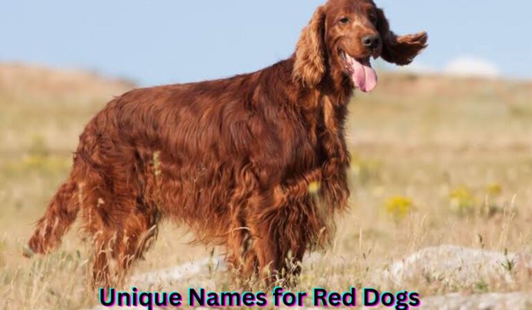 unique-names-for-red-dogs