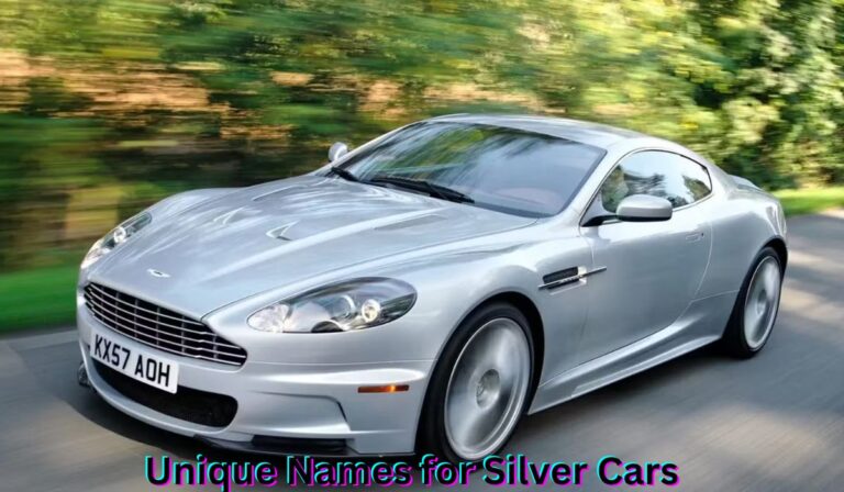 unique-names-for-silver-cars