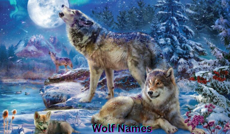 wolf-names